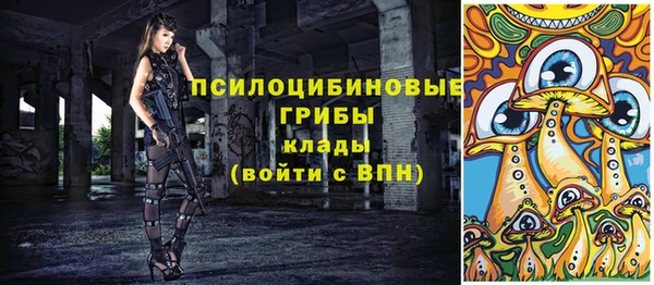 дурь Арсеньев
