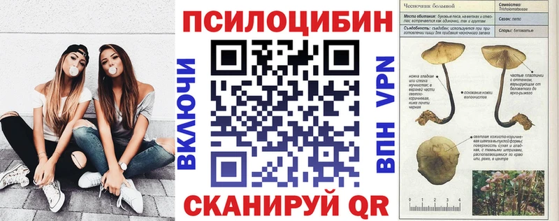 хочу наркоту  Новоульяновск  Галлюциногенные грибы мицелий 